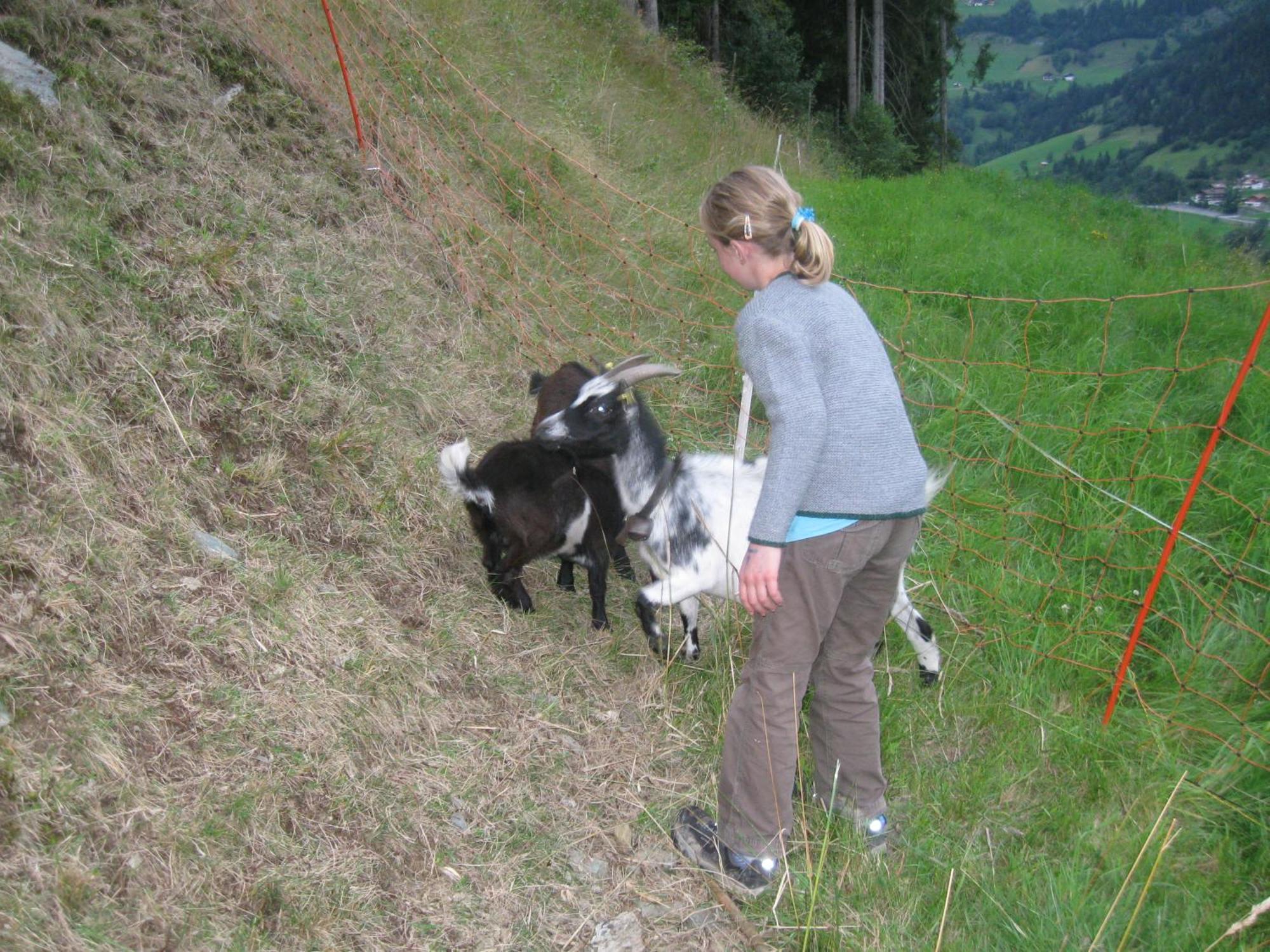 Schaidreithof Grossarl Exteriör bild