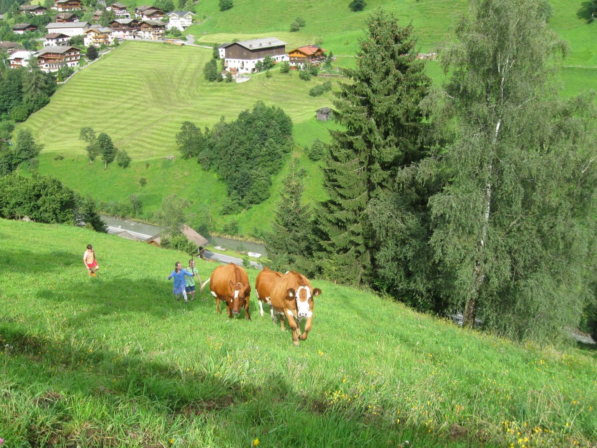 Schaidreithof Grossarl Exteriör bild