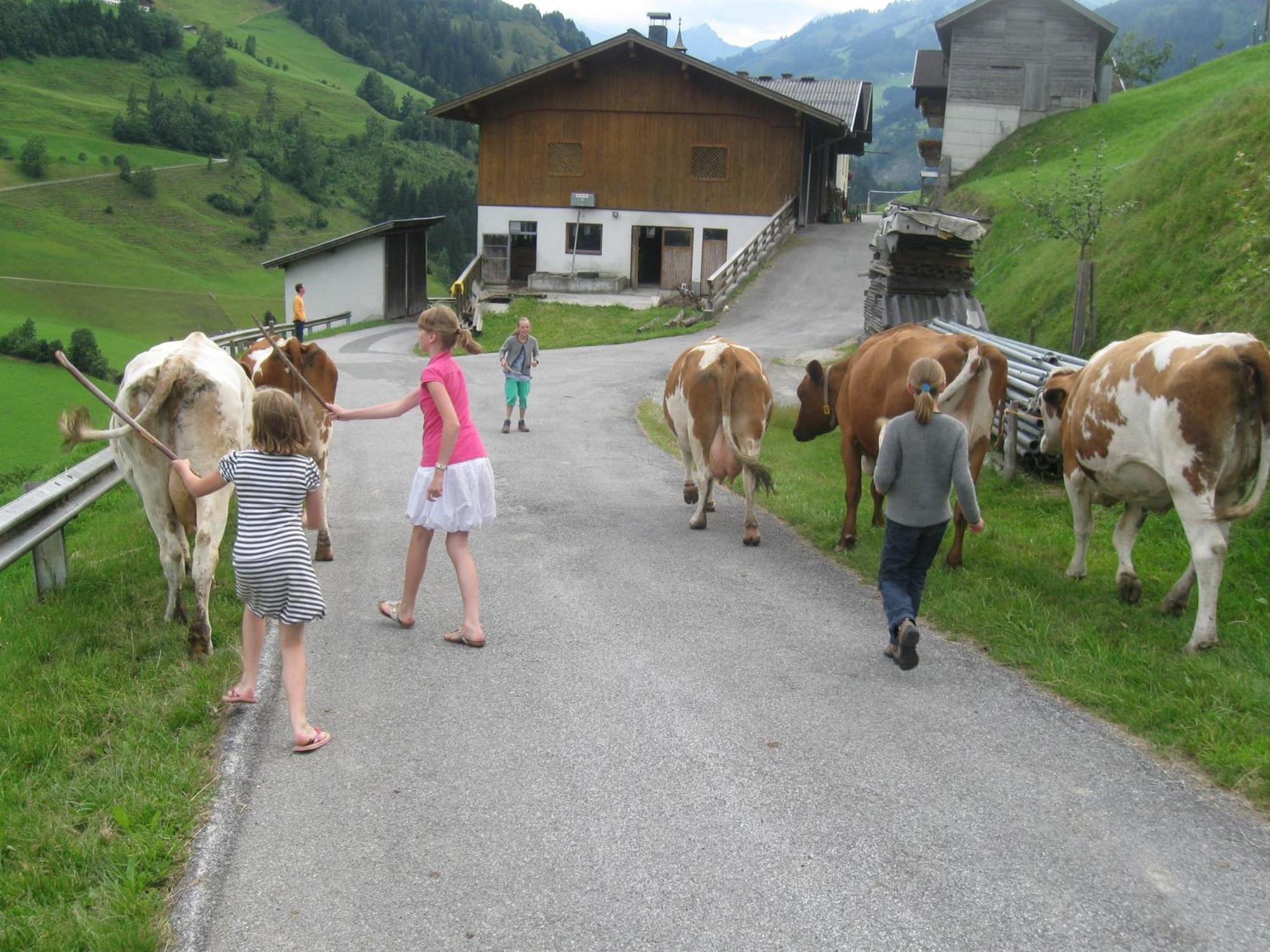 Schaidreithof Grossarl Exteriör bild