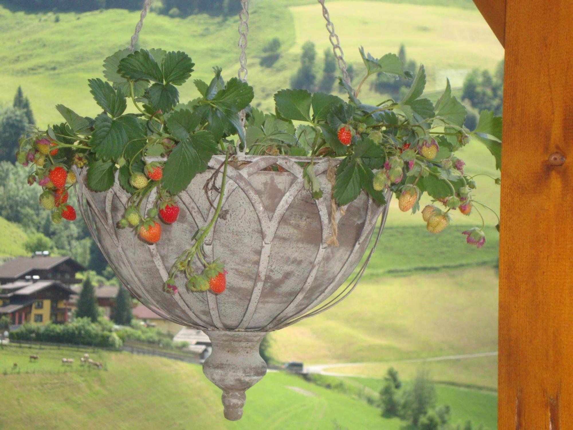 Schaidreithof Grossarl Exteriör bild
