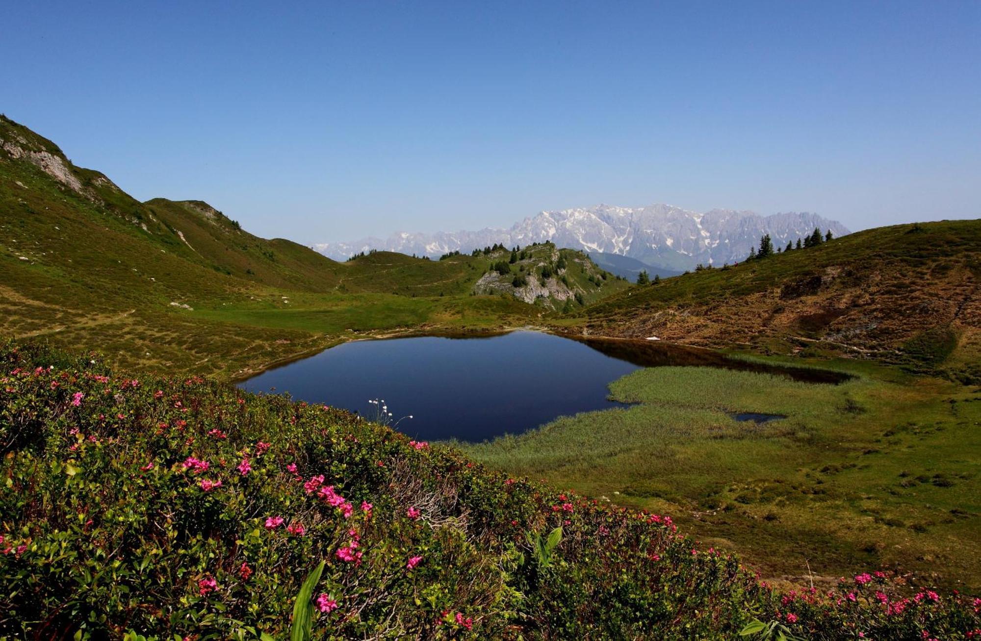 Schaidreithof Grossarl Exteriör bild